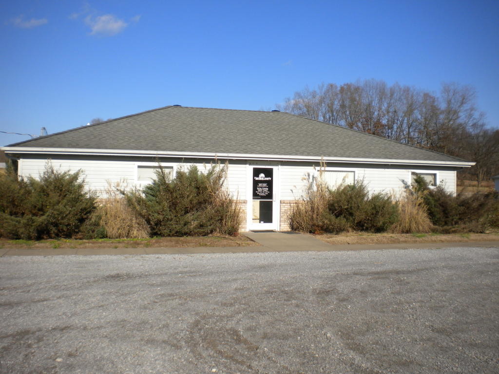 1 Henry Ln, Elizabethtown, IL for sale Primary Photo- Image 1 of 1