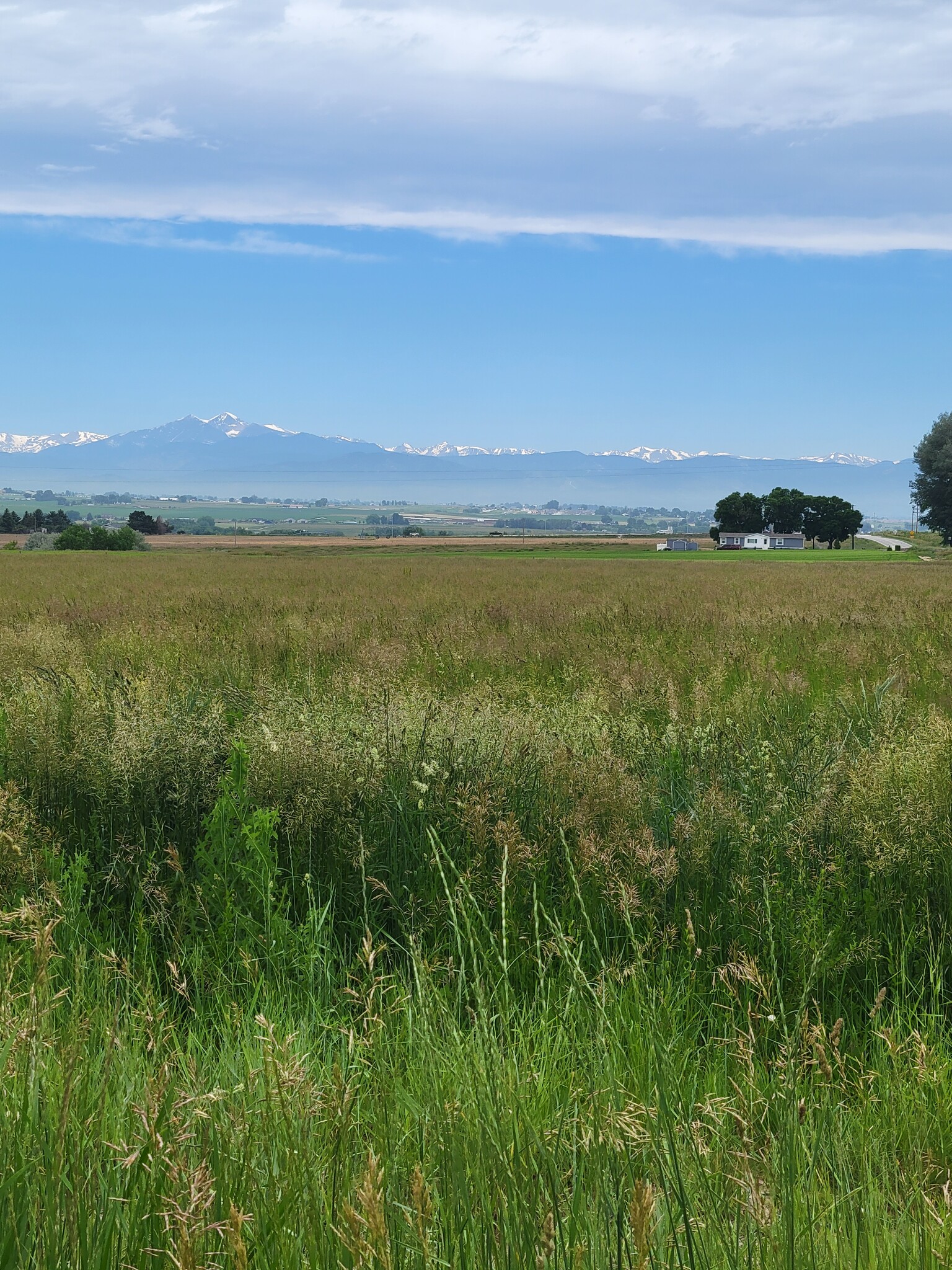 Weld County 54 Rd, Milliken, CO for sale Other- Image 1 of 2