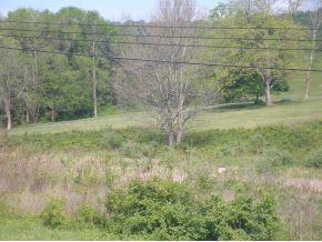 Lee Hwy, Bristol, VA for sale - Primary Photo - Image 1 of 1