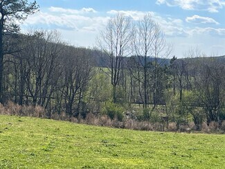 More details for 1188 Julius Bridge Rd, Ball Ground, GA - Land for Sale