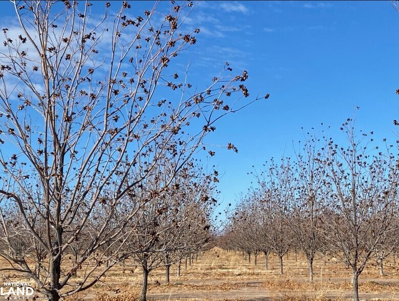 0 Hwy 38, Cotton City, NM for sale - Aerial - Image 3 of 26