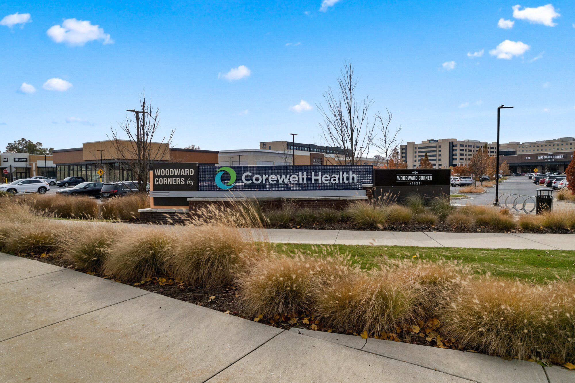 Woodward Ave, Royal Oak, MI for lease Building Photo- Image 1 of 39