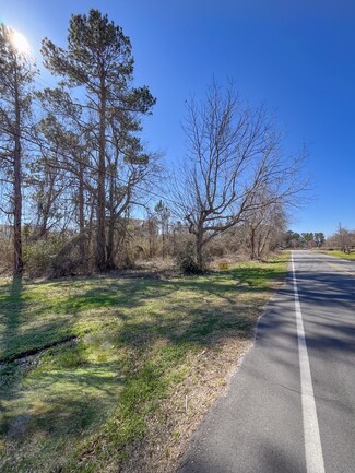 More details for 128 NC-41, Wallace, NC - Land for Sale