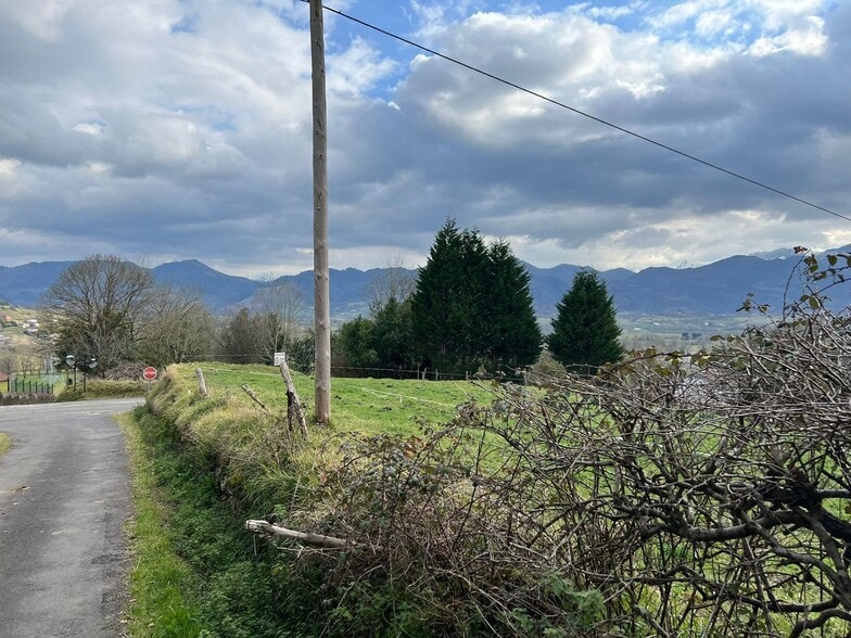 Alameda Cuenya, 25, Nava, Asturias for sale - Aerial - Image 2 of 4