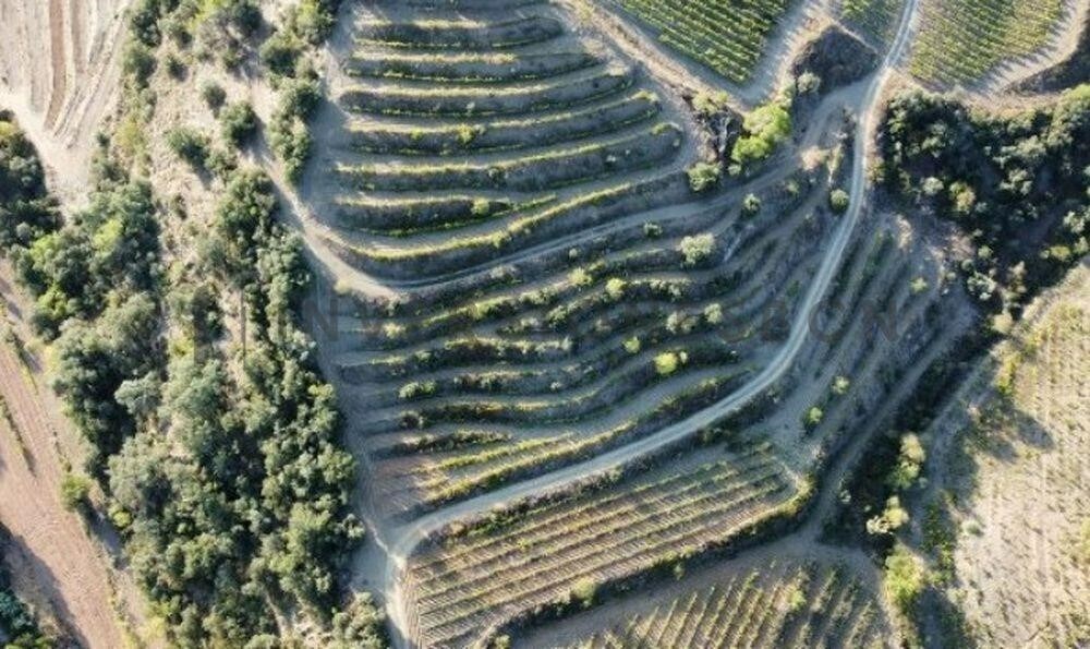 Land in Poboleda, Tarragona for sale Other- Image 1 of 1