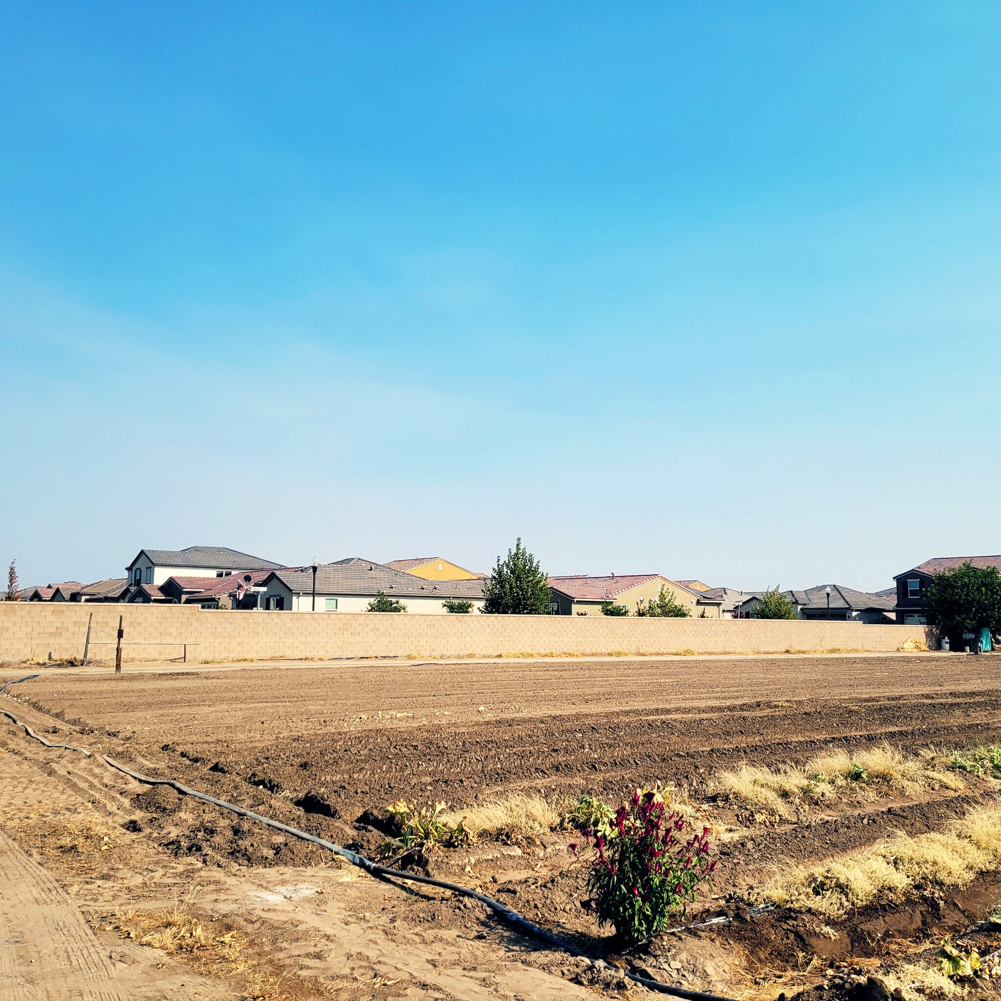 3164 Shaw Ave, Clovis, CA for sale Other- Image 1 of 1