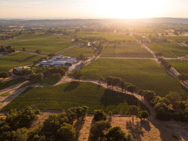 Shenandoah Legacy Estate Winery - Vineyard