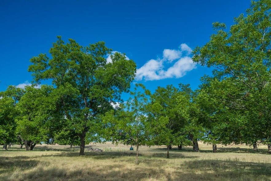 982 Old San Antonio Rd, Fredericksburg, TX for sale - Other - Image 1 of 1