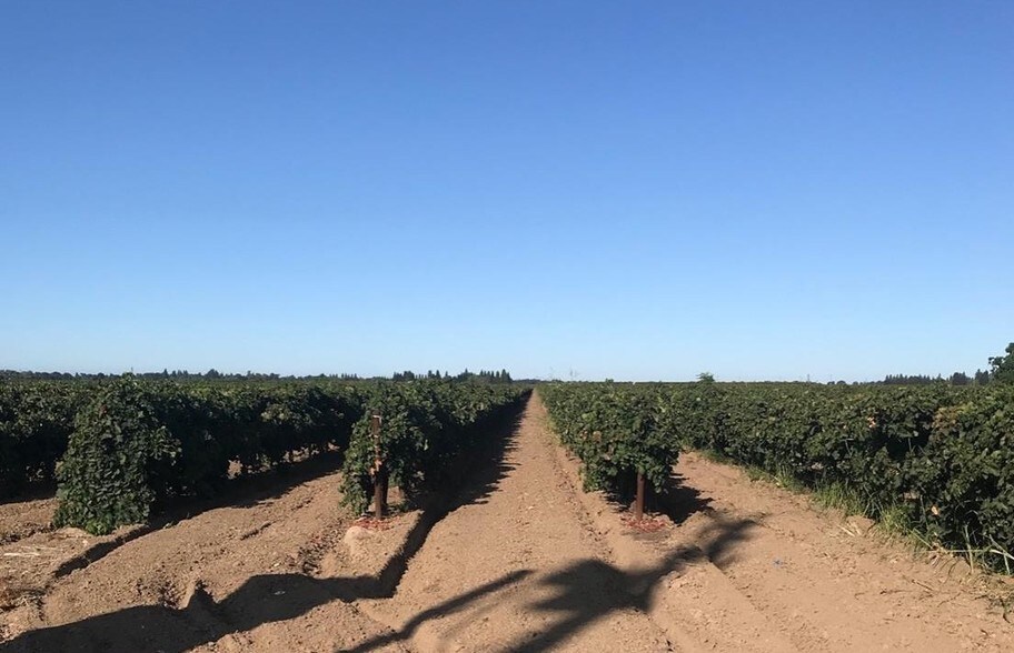 20201 Ca-99, Acampo, CA for sale - Primary Photo - Image 1 of 1