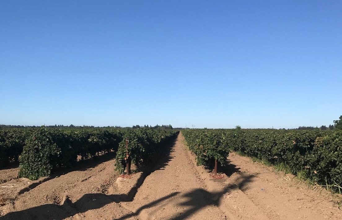 20201 Ca-99, Acampo, CA for sale Primary Photo- Image 1 of 1