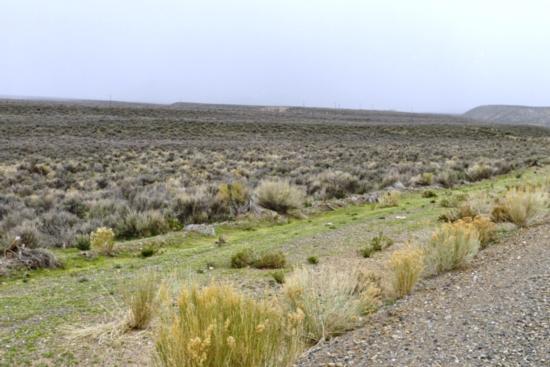 Coal Mine, Elko, NV for sale Primary Photo- Image 1 of 1