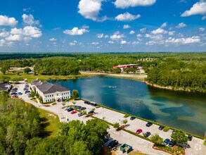 17425 Bridge Hill Ct, Tampa, FL - aerial  map view - Image1