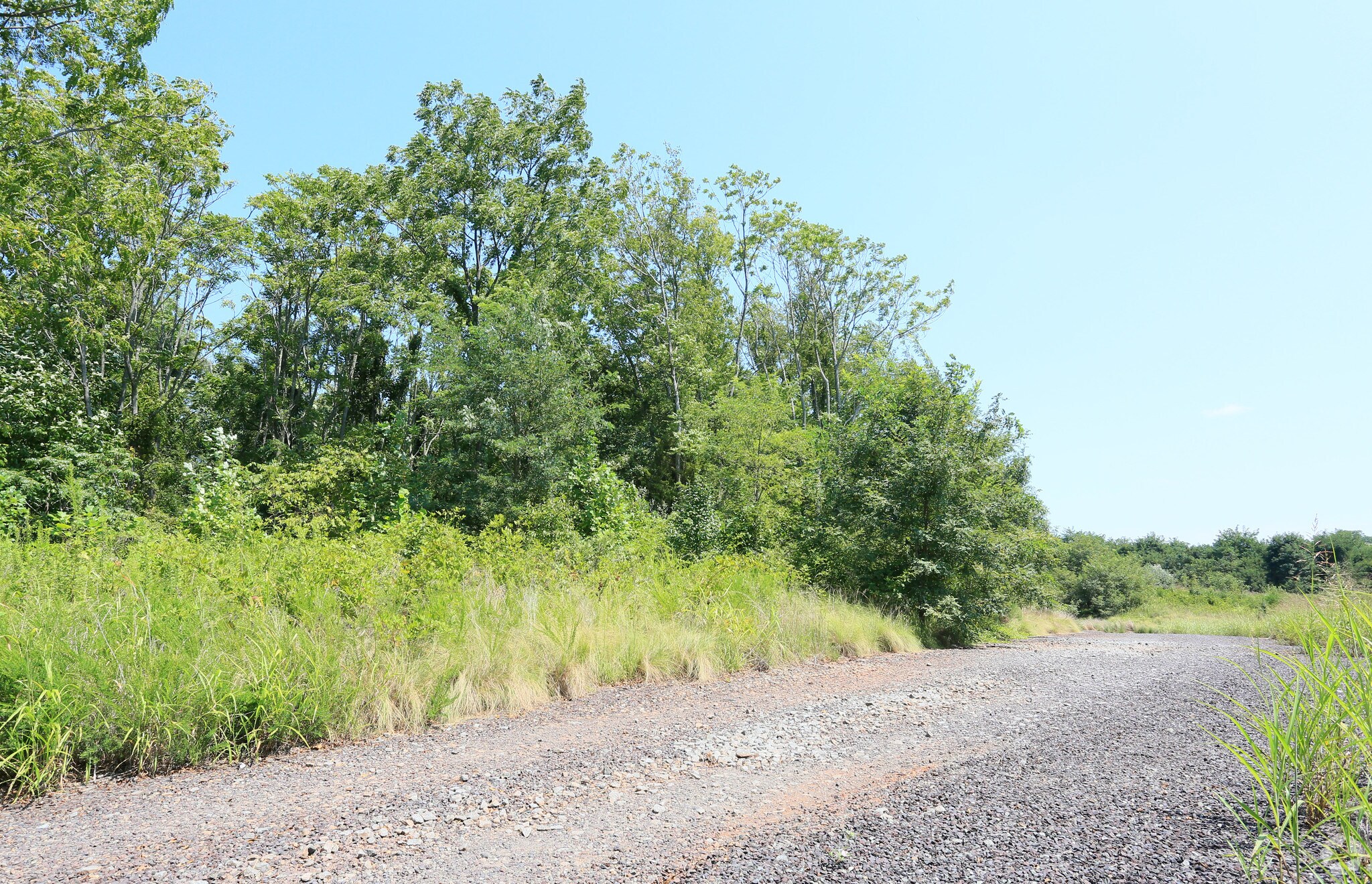 10001 Madison Rd, Culpeper, VA for sale Primary Photo- Image 1 of 1