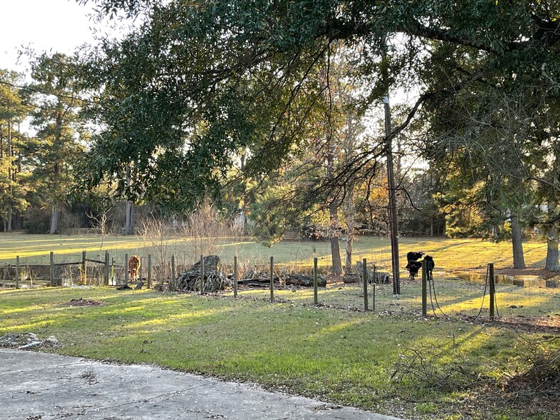 000 Connor Reinhardt, New Caney, TX for sale - Primary Photo - Image 1 of 1