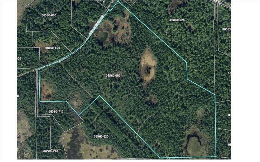 Yates Creek Rd, Perry, FL 32348