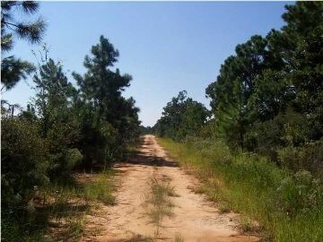 2 San Raphael Rd, Milton, FL for sale Primary Photo- Image 1 of 1