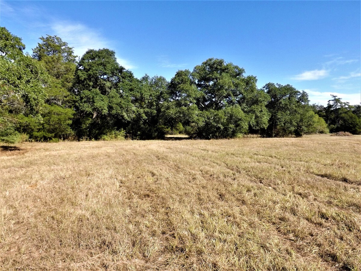 1297 Frelsburg Rd, Alleyton, TX 78935