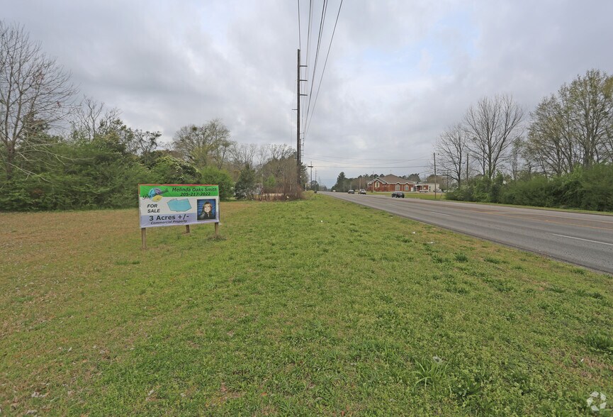 1209 S 7th St, Clanton, AL 35045 Land for Sale