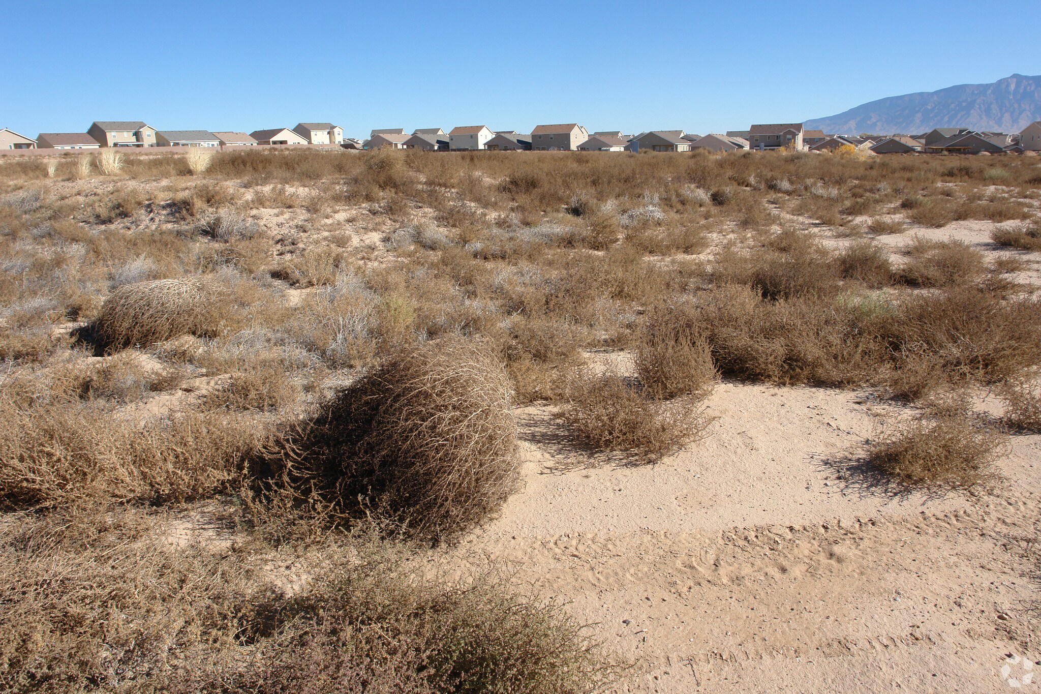 Cabezon Blvd SE, Rio Rancho, NM for sale Primary Photo- Image 1 of 1