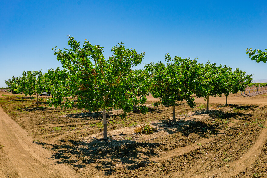 S. Hamburg, Los Banos, CA for sale - Primary Photo - Image 1 of 1