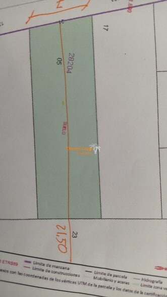 Avinguda de Sant Andreu, 21, Elche, Alicante for sale - Site Plan - Image 1 of 1