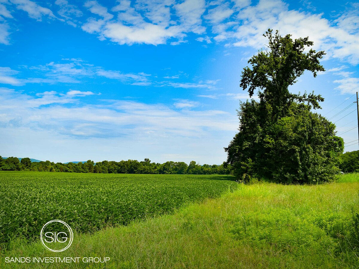 8924 Highway 431 South, Owens Cross Roads, AL for sale Primary Photo- Image 1 of 1