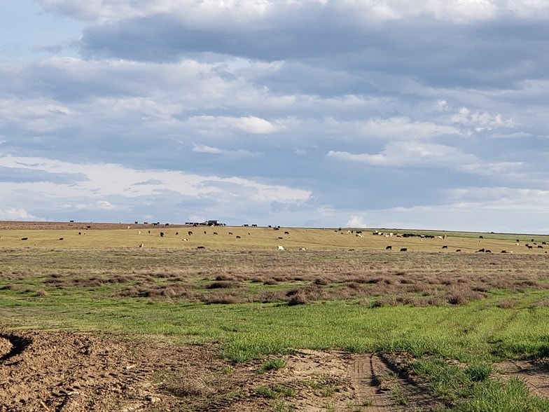 3032 Highway 260, Connell, WA for sale - Building Photo - Image 1 of 1