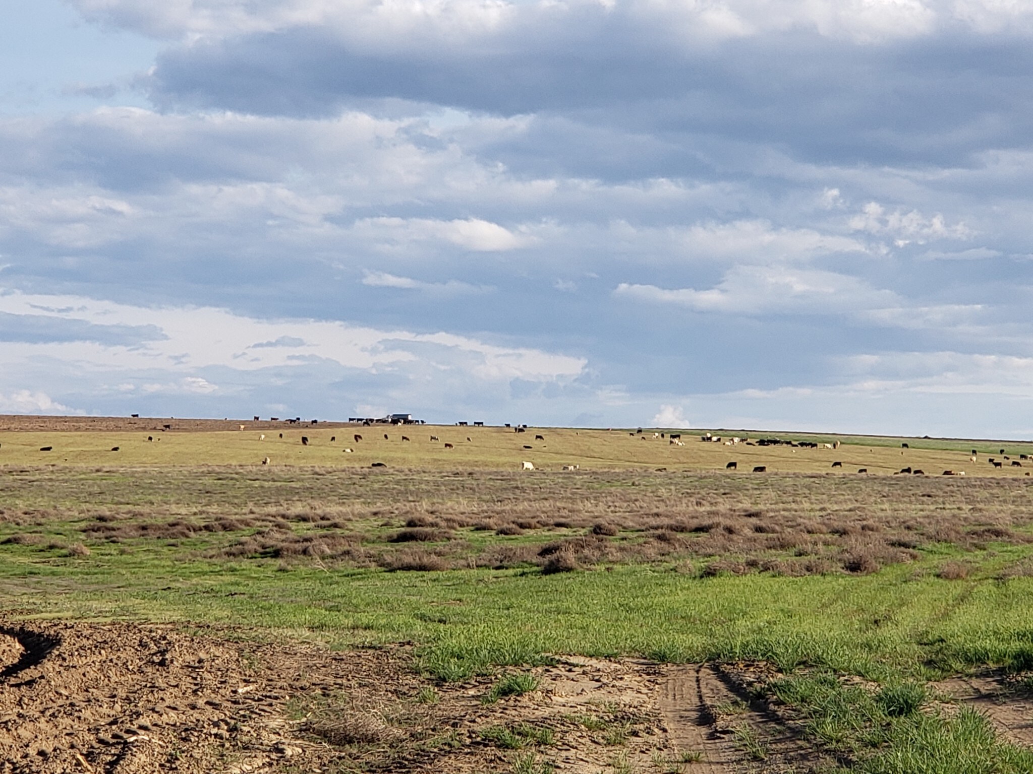 3032 Highway 260, Connell, WA for sale Building Photo- Image 1 of 1