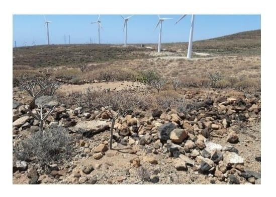Land in Arico, Santa Cruz de Tenerife for sale - Building Photo - Image 1 of 3