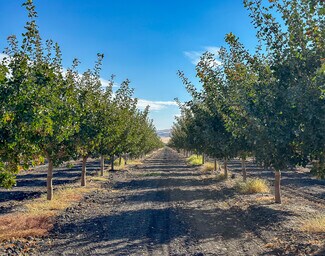 More details for Buttonwillow Drive, Buttonwillow, CA - Land for Sale