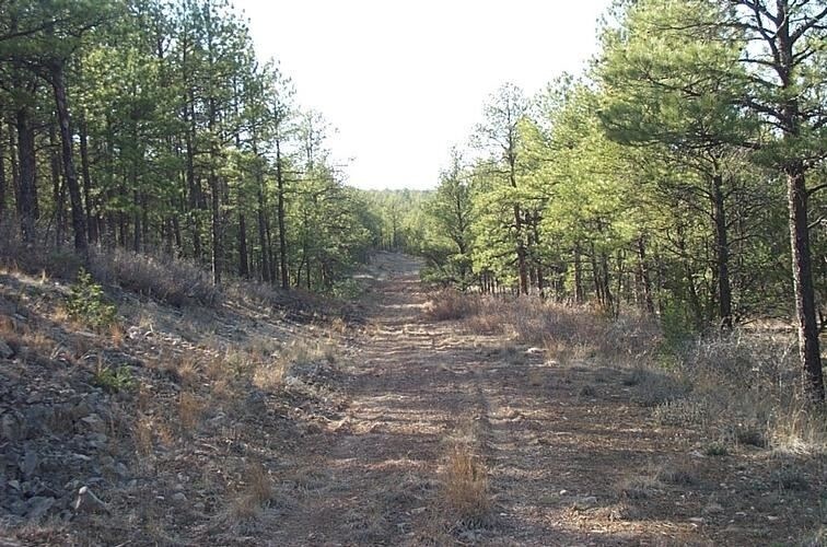 Salmon Dr, Timberon, NM 88350