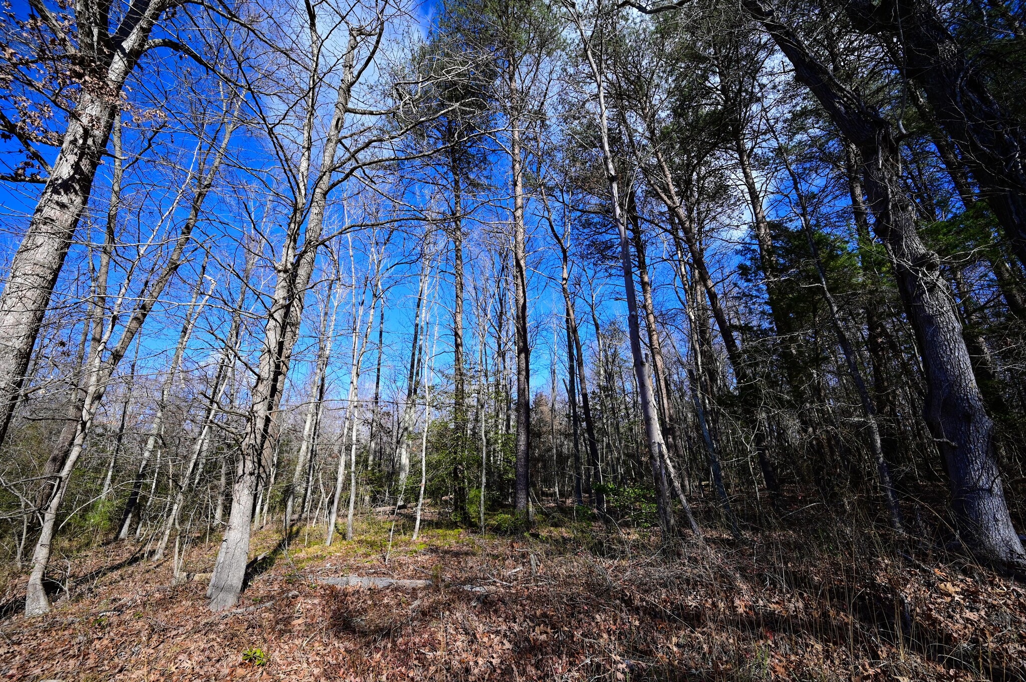 Stuckey Rd, Indian Head, MD for sale Primary Photo- Image 1 of 15