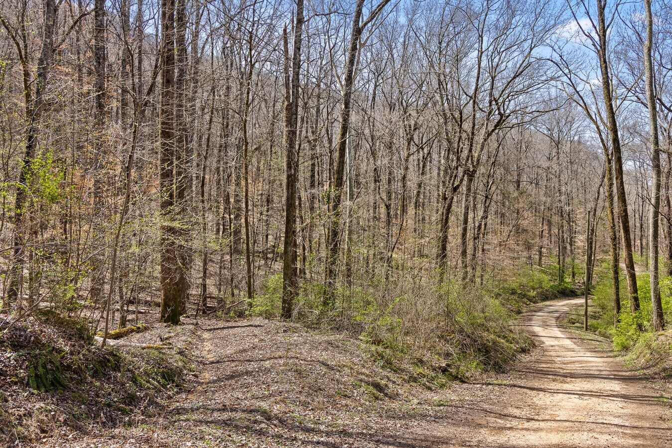 2716 Cash Canyon Rd, Chattanooga, TN 37419