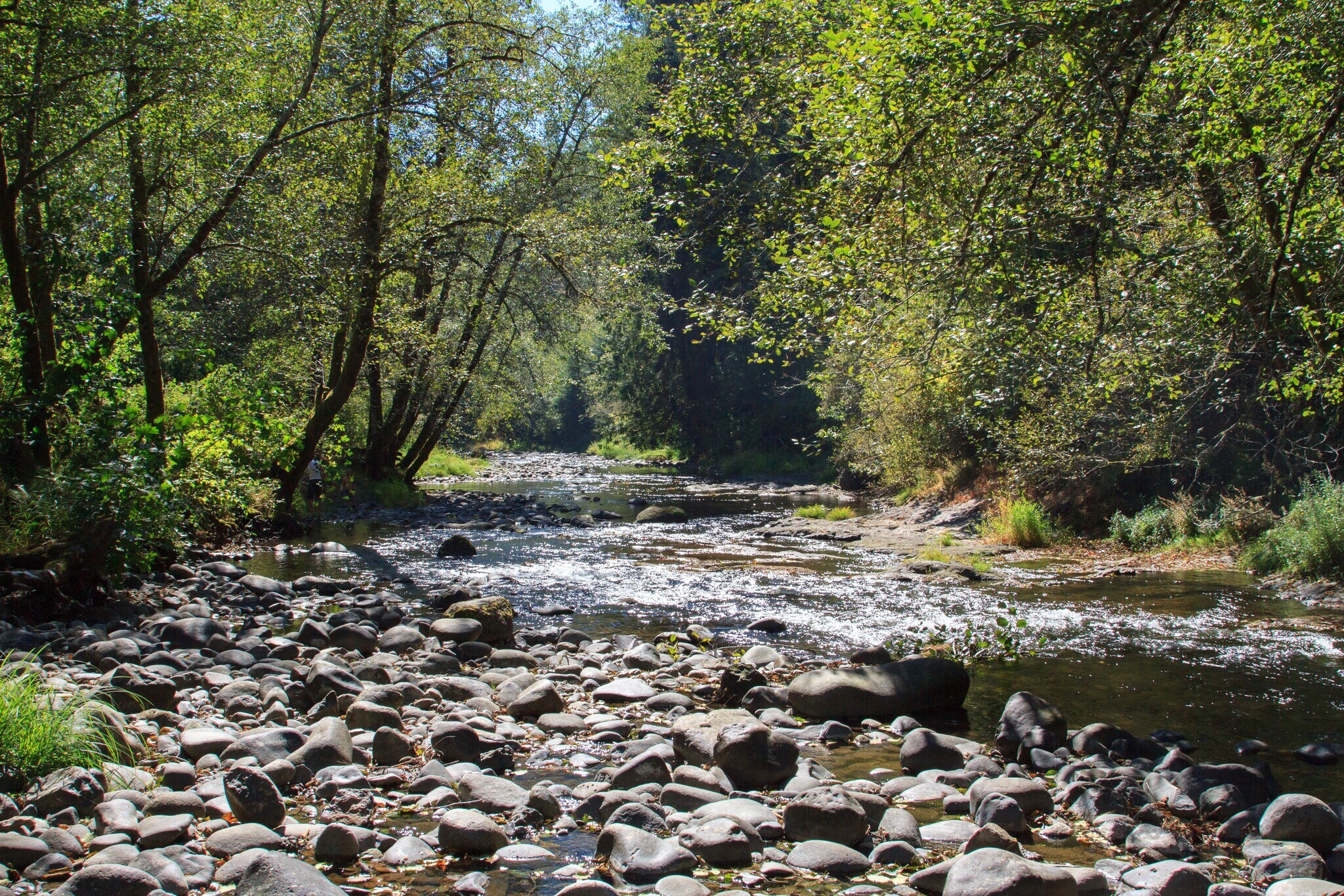 6029 Salmon River Hwy, Otis, OR 97368 Salmon River RV Park