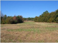 703 Broad ave, Rockingham, NC for sale Primary Photo- Image 1 of 2