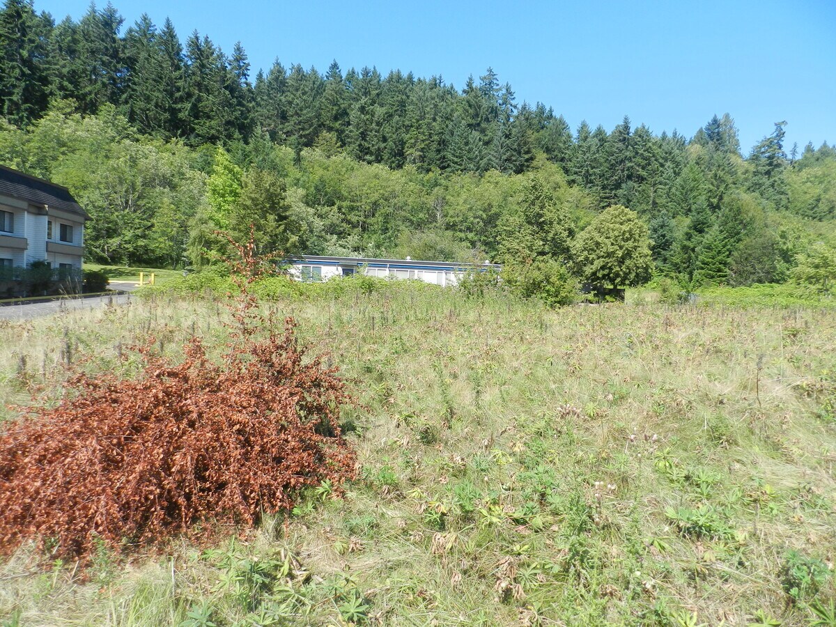 1 7th, Poulsbo, WA 98370