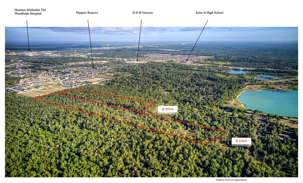 53.8 Acres off Hwy 242, Conroe, TX for sale - Aerial - Image 1 of 6