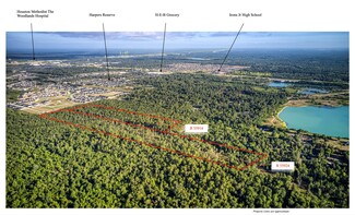 More details for 53.8 Acres off Hwy 242, Conroe, TX - Land for Sale