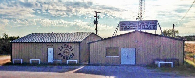 8801 Us Highway 67 S, San Angelo, TX for sale Building Photo- Image 1 of 1