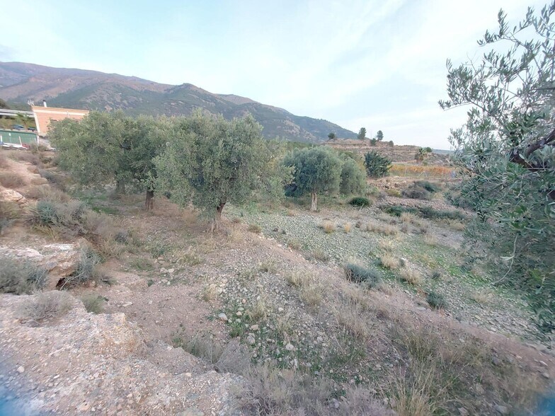Land in Berja for sale - Building Photo - Image 3 of 12
