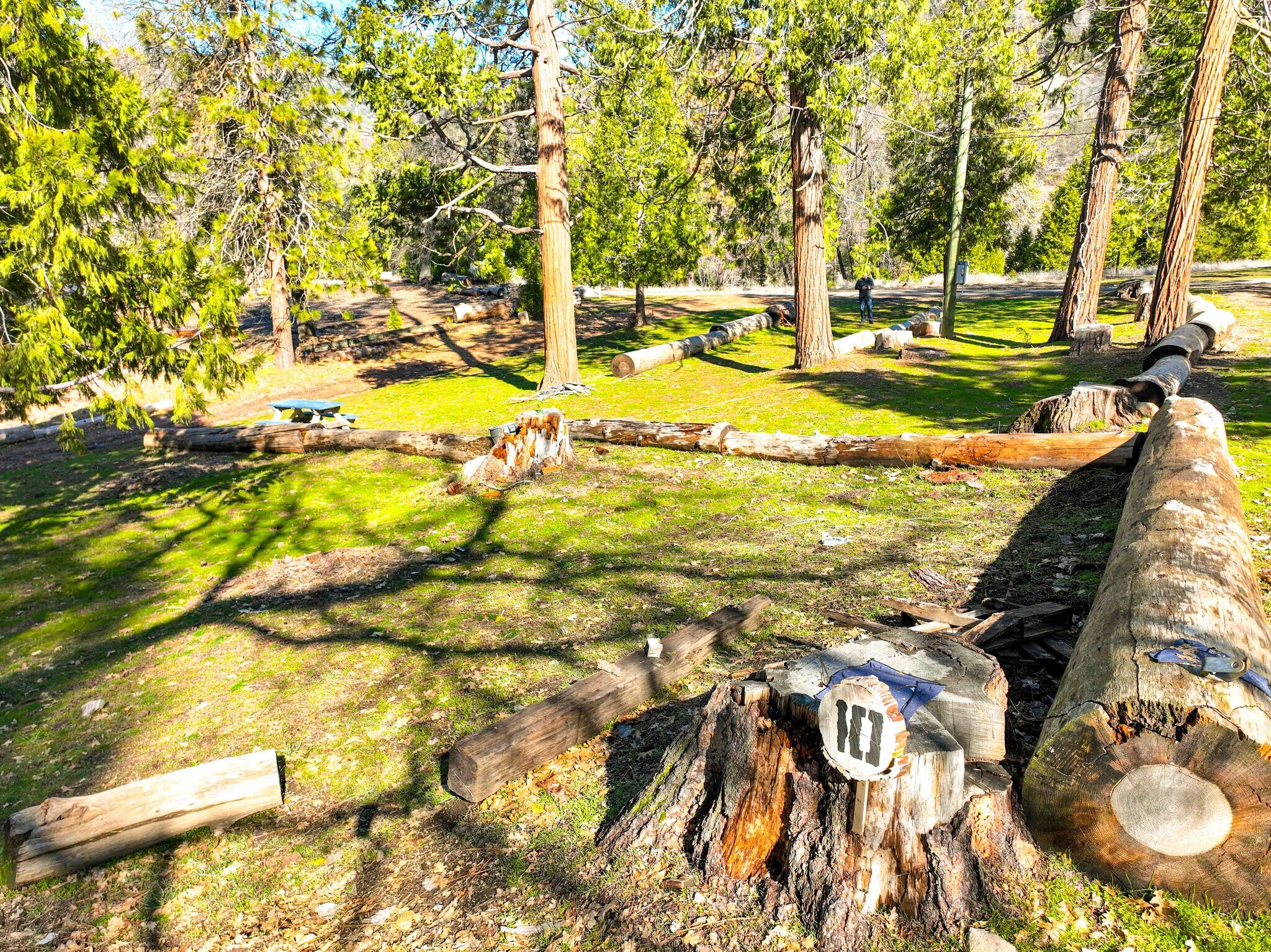 53783 N Highway 245, Miramonte, CA 93641 Pinehurst Lodge Bar and