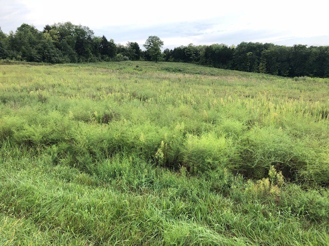 7289 Walnut Ridge Dr, Union, MO for sale - Other - Image 1 of 1