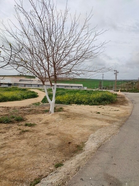 Land in Burguillos for sale Building Photo- Image 1 of 20