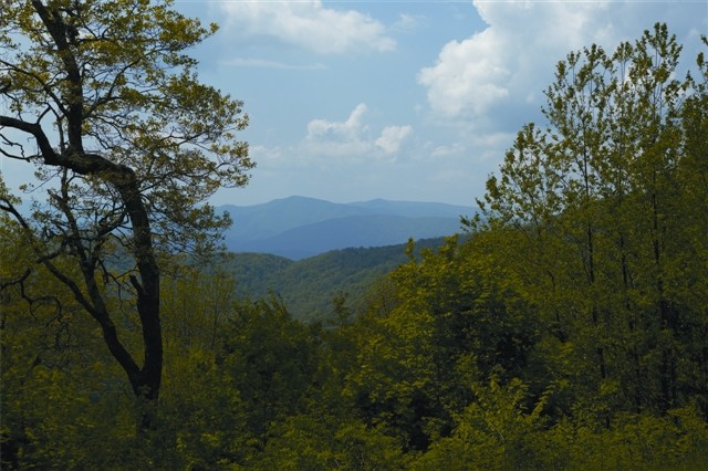 7000 Wildcat Rd, Deep Gap, NC for sale Building Photo- Image 1 of 1