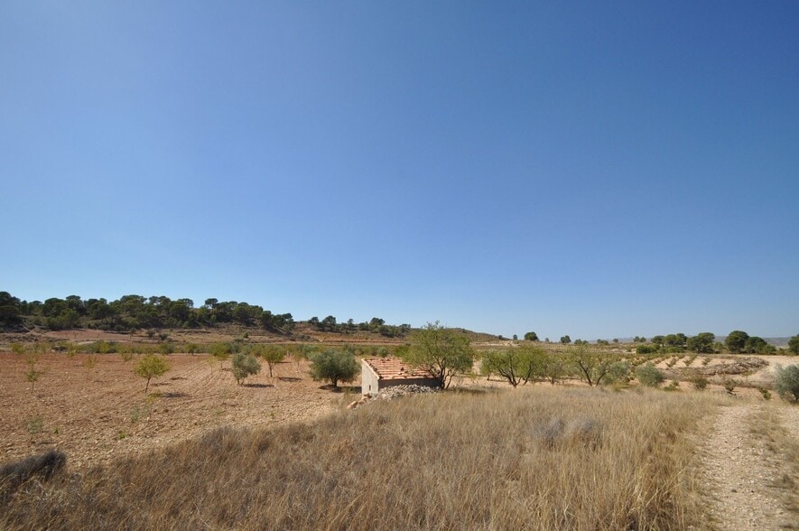 Land in Jumilla for sale - Building Photo - Image 1 of 13