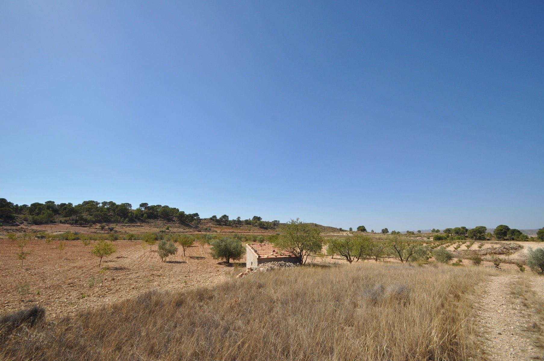Land in Jumilla for sale Building Photo- Image 1 of 14