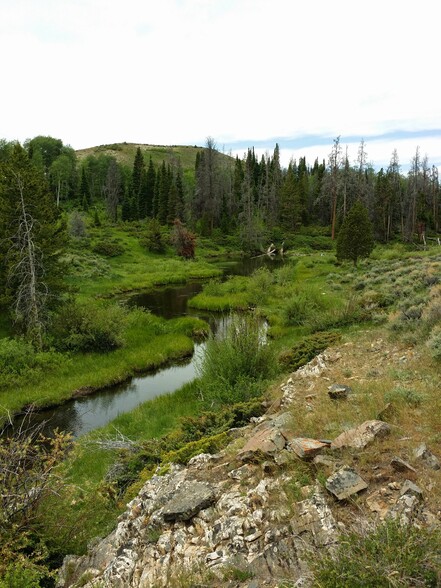 Jack Creek Road, Saratoga, WY for sale - Primary Photo - Image 1 of 13