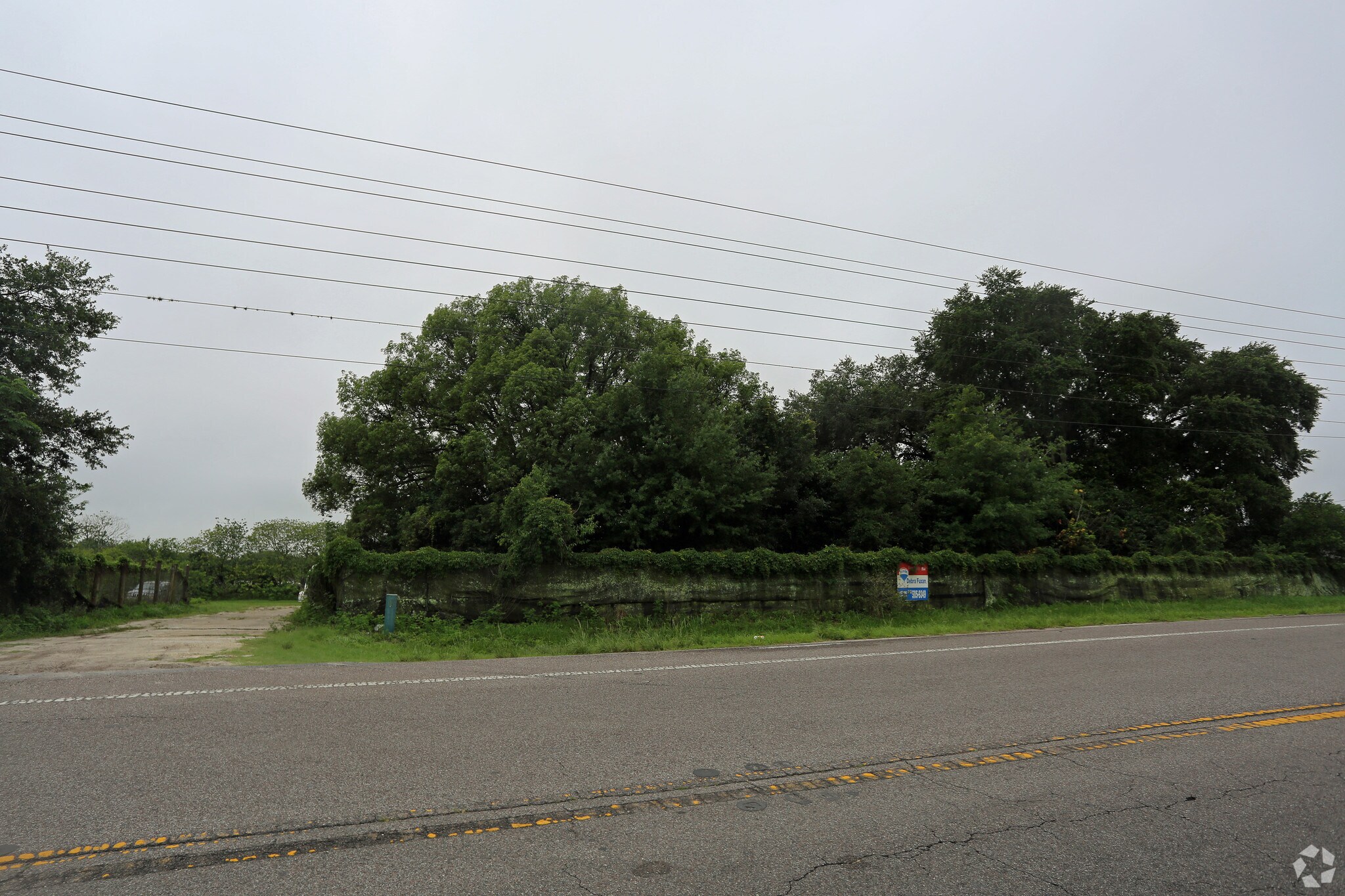 34620 SR-54 Hwy, Zephyrhills, FL for sale Primary Photo- Image 1 of 1