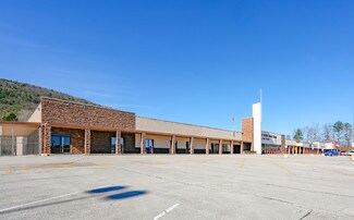 More details for 10161 Dayton Pike, Soddy Daisy, TN - Retail for Lease
