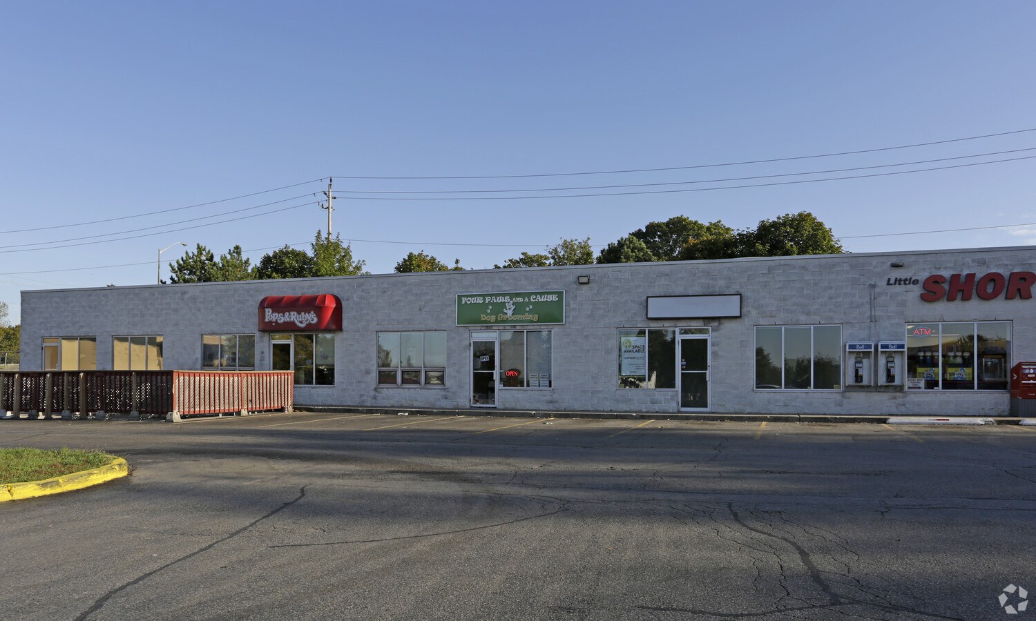 Primary Photo